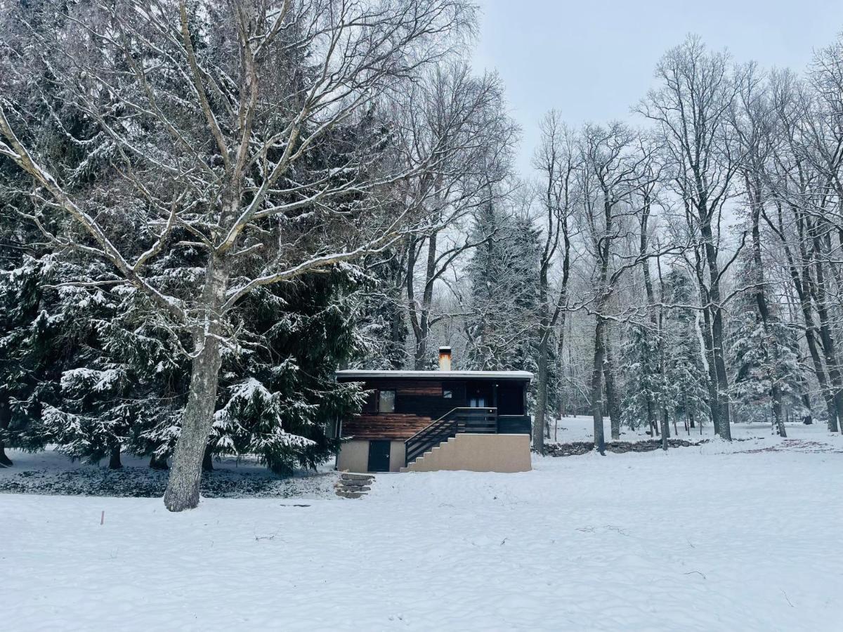Chata Adam U Lipna Horní Planá Dış mekan fotoğraf
