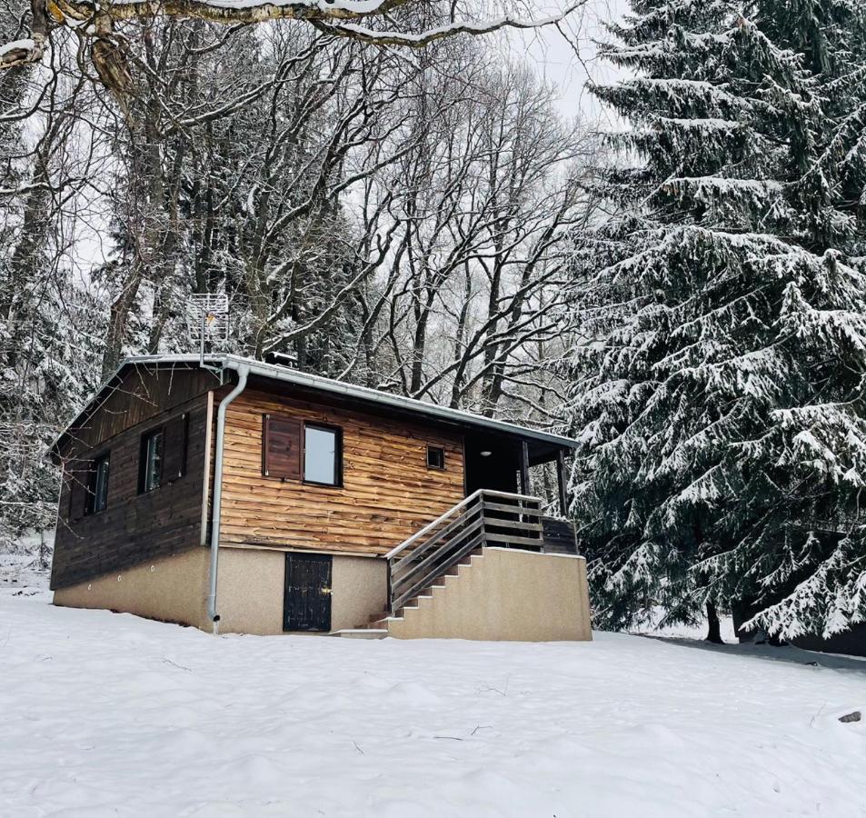 Chata Adam U Lipna Horní Planá Dış mekan fotoğraf